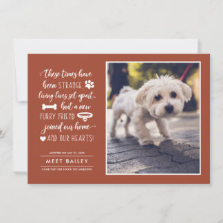 Invitación fotográfica de New Mascota Times extrañ