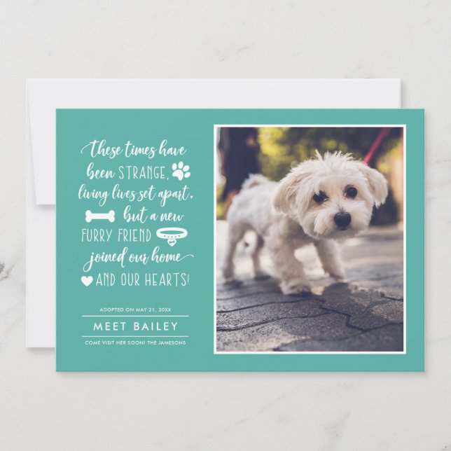 Invitación fotográfica de New Mascota Times extrañ (Anverso)