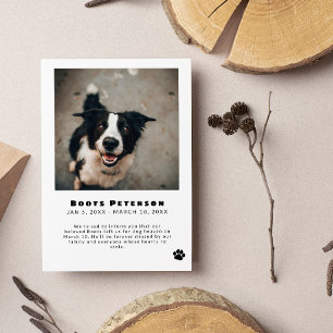 Invitación fotográfica de pérdida de Mascota de hu
