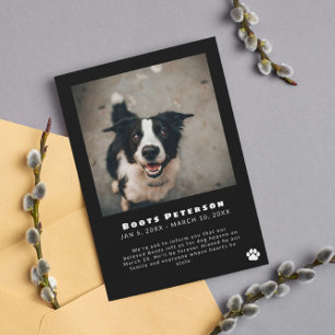 Invitación fotográfica de pérdida de Mascota de hu