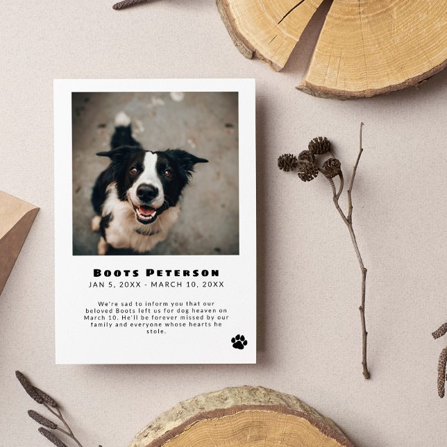 Invitación fotográfica de pérdida de Mascota de hu (Subido por el creador)
