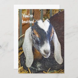 Invitación Fotomontaje de cabra nubia bonito Cumpleaños
