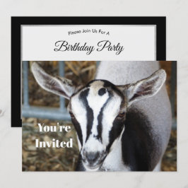 Invitación Fotos de cabra de bebé lindo cumpleaños