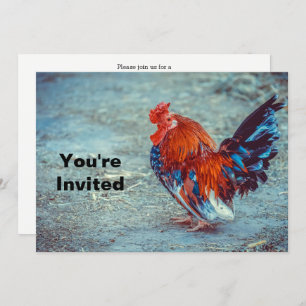 Invitación Fotos de gallo coloridas en pollos Cumpleaños