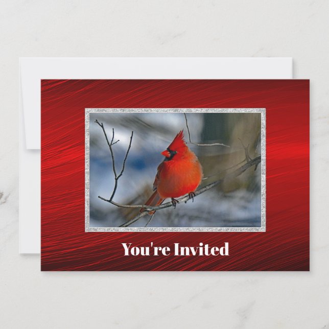 Invitación Fotos de invierno del cardenal rojo cumpleaños (Anverso)
