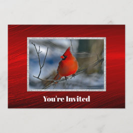 Invitación Fotos de invierno del cardenal rojo cumpleaños