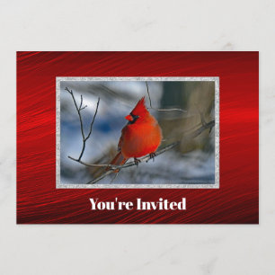 Invitación Fotos de invierno del cardenal rojo cumpleaños