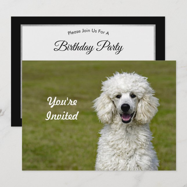 Invitación Fotos de perro blanco de caniche Cumpleaños (Anverso / Reverso)