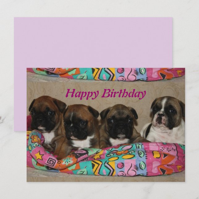 Invitación Französische Bulldogge Happy Birthday  (Anverso / Reverso)