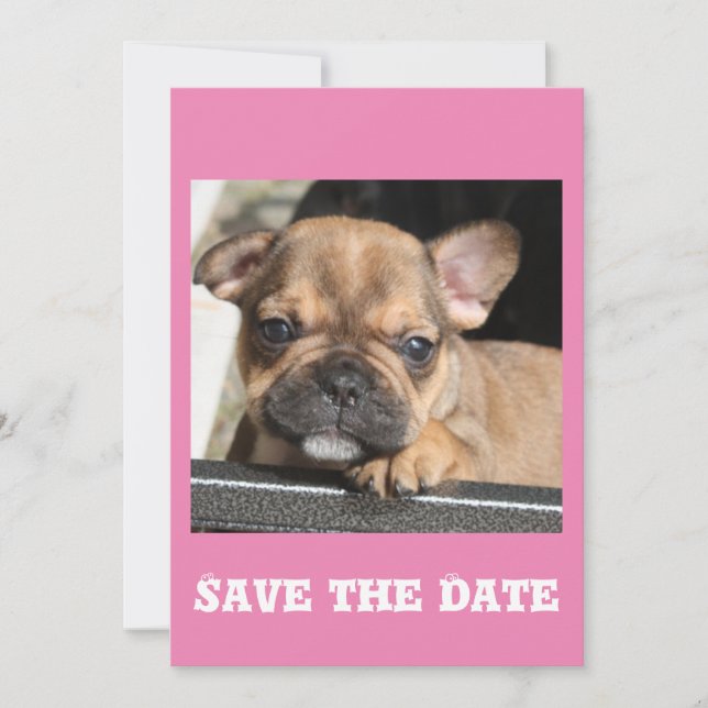 Invitación Französische Bulldogge Welpe (Anverso)