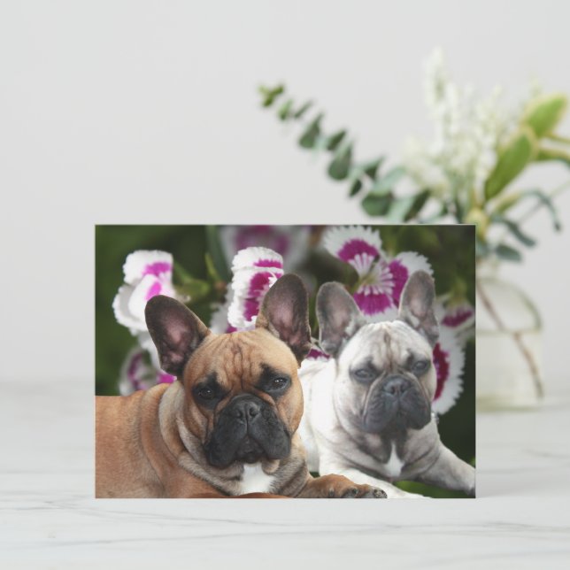 Invitación Französische Bulldogge zwei Freunde French Bulldog (Anverso de pie)