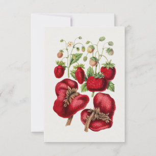 Invitación Fresa de época
