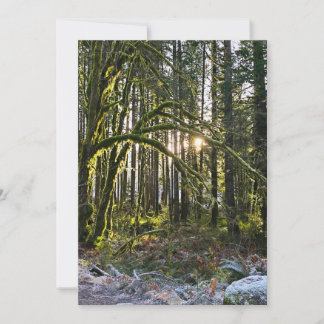 Invitación frosty sunlite moss