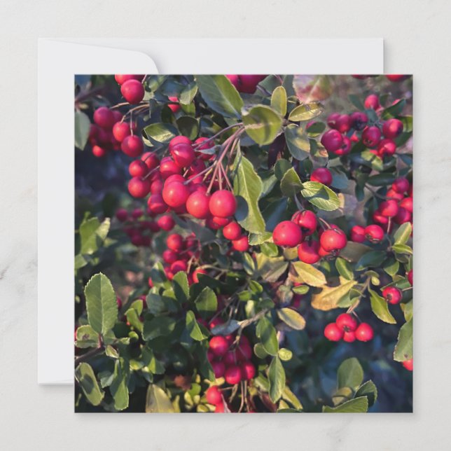 Invitación Frutos del otoño (Anverso)