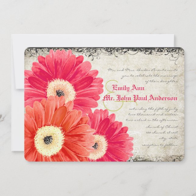 Invitación Fuchsia Naranja de Coral Gerber Daisy Wedding Invi (Anverso)