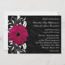 Fuchsia Scroll Gerbera Daisy con negro y blanco