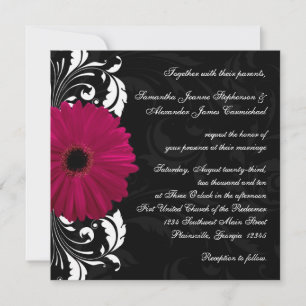 Invitación Fuchsia Scroll Gerbera Daisy con negro y blanco