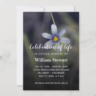 Invitación Funeral de Wildflower   Celebración de la vida por