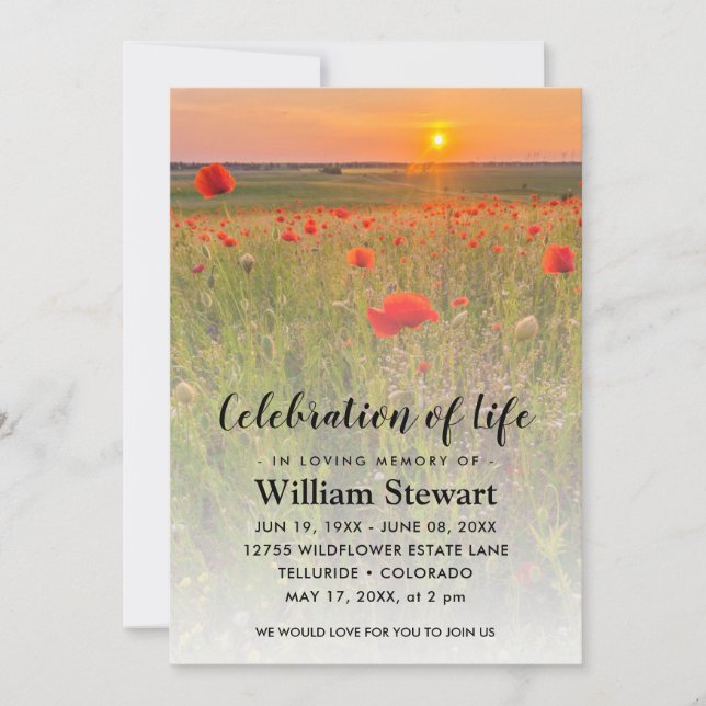 Invitación Funeral moderno | Celebración de los cachorros sal (Anverso)