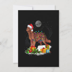 Invitación Funny Irish Setter Dog Christmas Lights Santa Hat