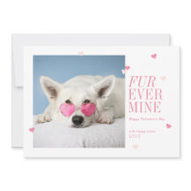 Fur Ever Mine Mascota Valentines Heart Photo Card