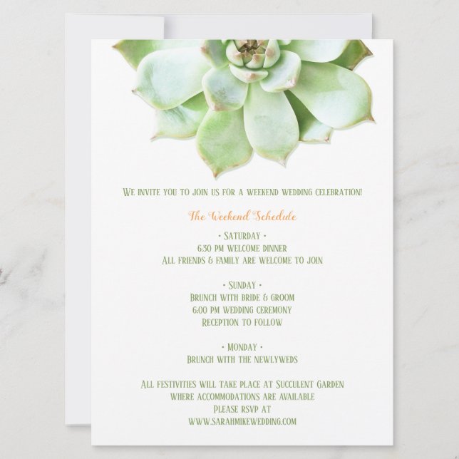 Invitación Gabinete Itinerario Boda Suculento de Primavera Cu (Anverso)