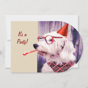 Invitación Gafas de Gorras del partido de cumpleaños de perro