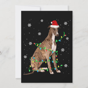 Invitación galgo luces de navidad adorable santa galgo