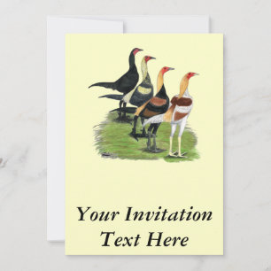 Invitación Gallos de Juego Modernos