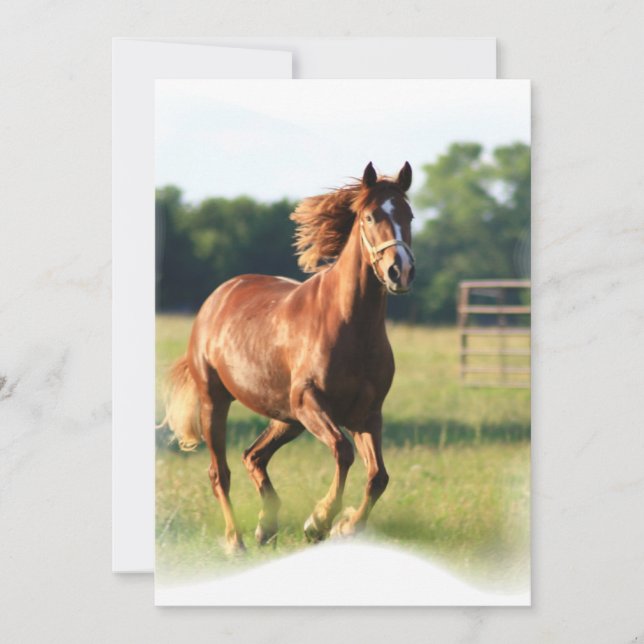 Invitación galopante de la castaña (Anverso)