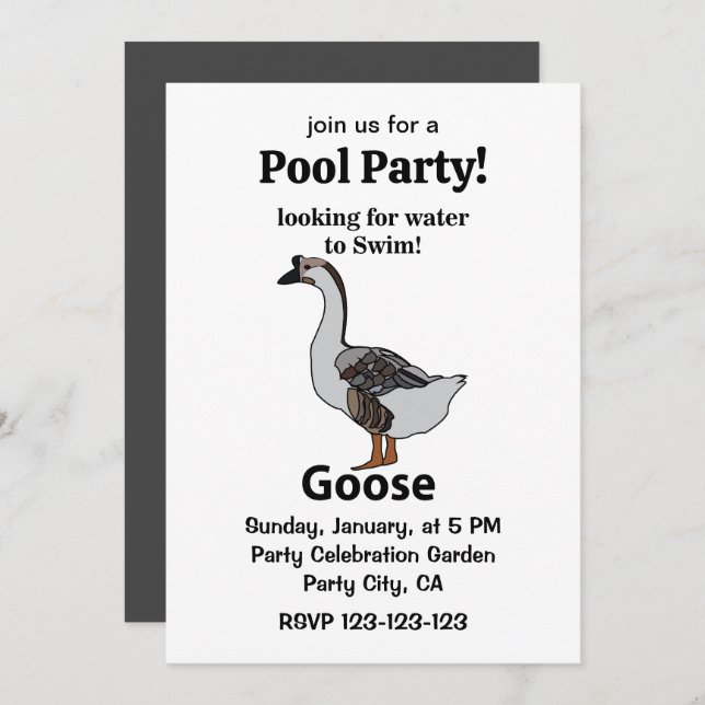 Invitación Ganso Buscando Agua Para Nadar Ganso Africano