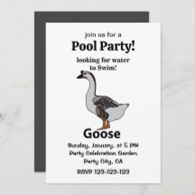 Ganso Buscando Agua Para Nadar Ganso Africano