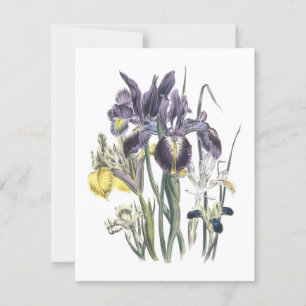 Invitación Garden Luncheon