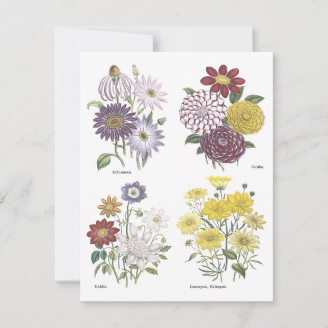 Invitación Garden Luncheon (Anverso)