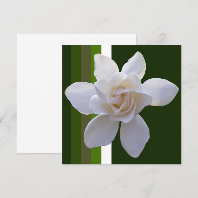 Invitación - Gardenia en franjas (Anverso / Reverso)
