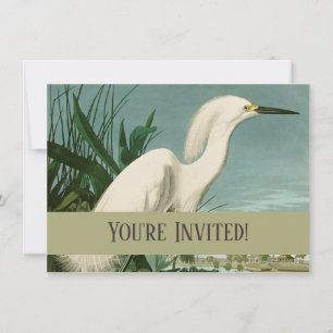 Invitación Garza Blanca de Audubon Ave Birding