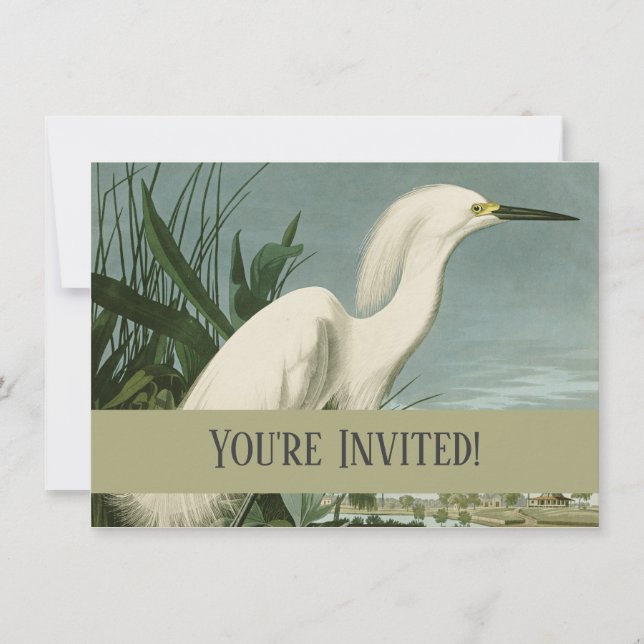 Invitación Garza Blanca de Audubon Ave Birding (Anverso)