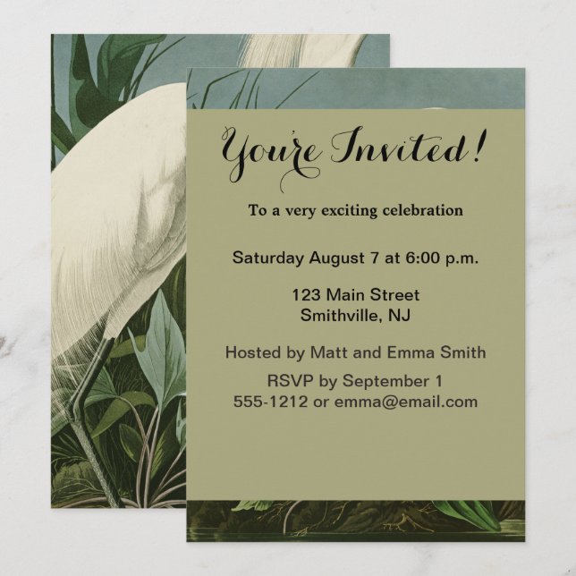 Invitación Garza Blanca de Audubon Ave Birding (Anverso / Reverso)
