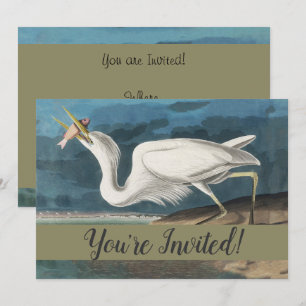 Invitación Garza Blanca Grande de Audubon: Ave Costera Vintag