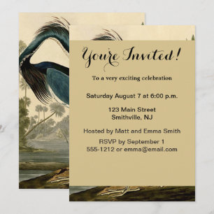 Invitación Garzas de Louisiana de Audubon Pájaros América Art
