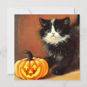 Invitación Gatito de Halloween blanco y negro vintage