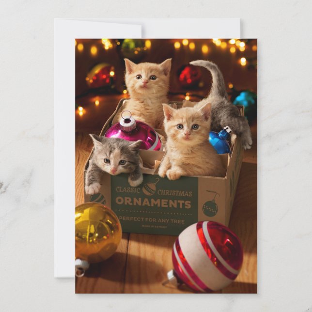Invitación Gatitos en caja de ornamentos (Anverso)
