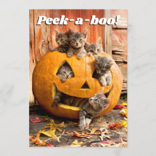 Invitación Gatitos en Jack-o-Lantern