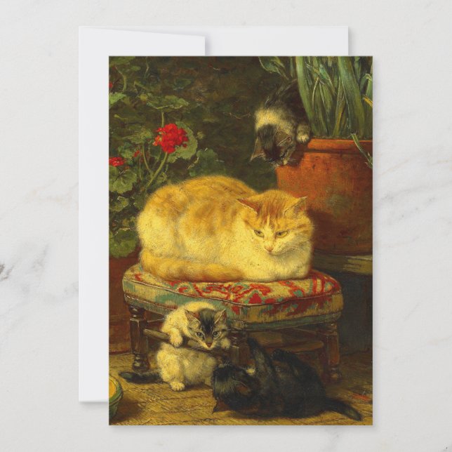 Invitación Gatitos en juego (Anverso)