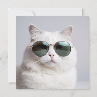 Invitación Gato blanco con gafas de sol, felino fresco, masco