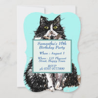 Gato de Tuxedo Gato Blanco Negro Cute Gatos 16 cum