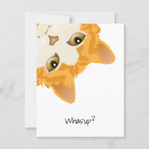 Invitación Gato del Naranja arriba boca abajo