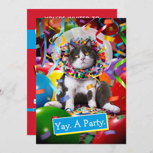Invitación Gato En Cono De Fiesta (Anverso / Reverso)