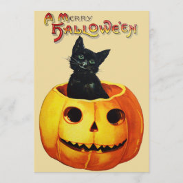 Invitación Gato en la fiesta de Halloween de calabaza