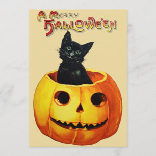 Invitación Gato en la fiesta de Halloween de calabaza